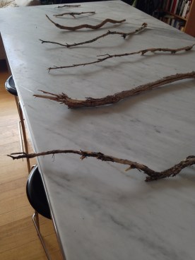 Step two is laying out twigs (about 6 different lengths to make the body of the tree). Then you can start tying the thread on between each, making sure the lengths of thread as close to the same as possible.