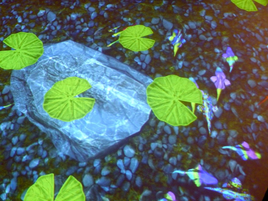 Floor video projections of psychedelic fish and lilly pads - if I wasn't going to squash the toddlers I too would have jumped onto these. Maybe next time.